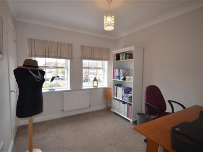 Picture 15